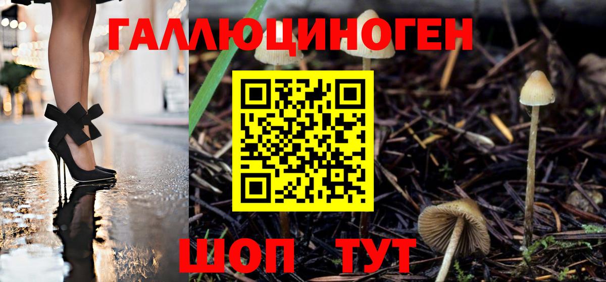 Псилоцибиновые грибы Psilocybe Рославль