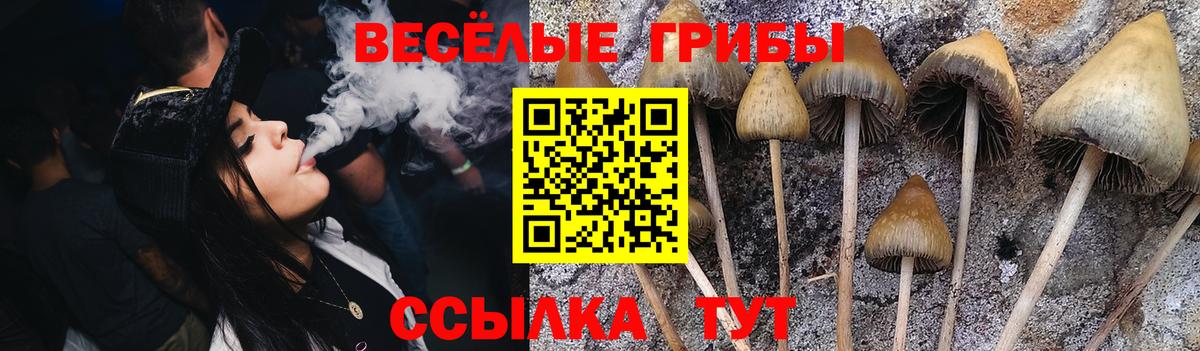 Рославль  Галлюциногенные грибы Psilocybe  Вход с VPN  даркнет сайт  Галлюциногенные грибы GOLDEN TEACHER 